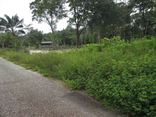 Grundstück in Tonate, Guyane