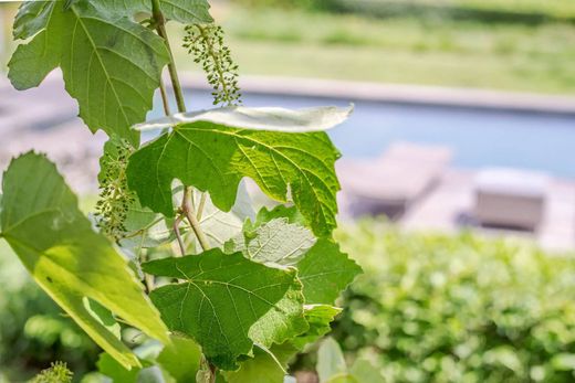 Вилла, Сан-Тропе, Var