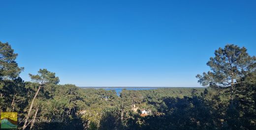 Участок, Lacanau, Gironde