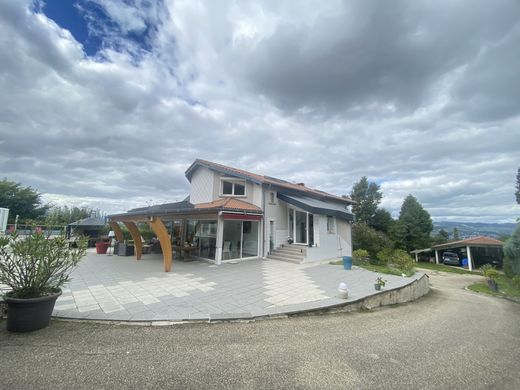 Luxe woning in Saint-Jean-Bonnefonds, Loire