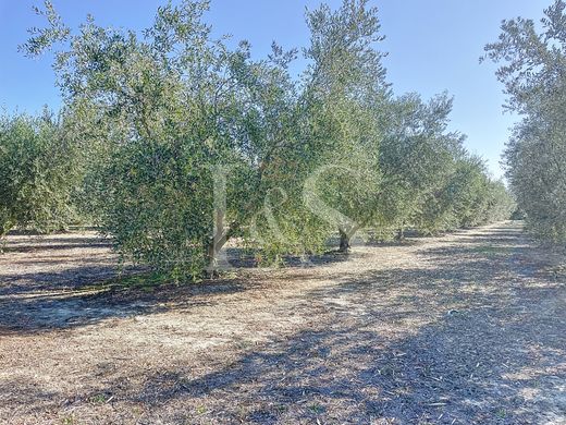 Βίλα σε Saint-Rémy-de-Provence, Bouches-du-Rhône