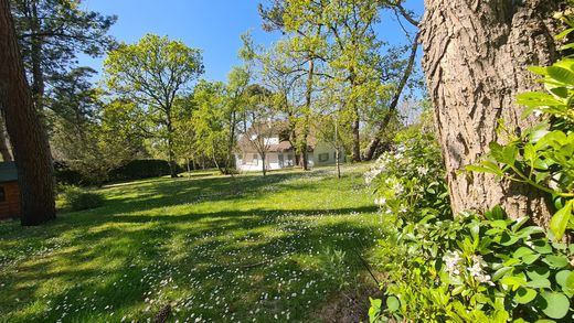 Villa in Le Touquet-Paris-Plage, Pas-de-Calais