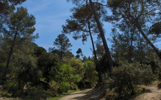 Terrain à Clapiers, Hérault