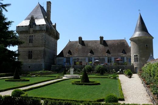Κάστρο σε Pioussay, Département des Deux-Sèvres