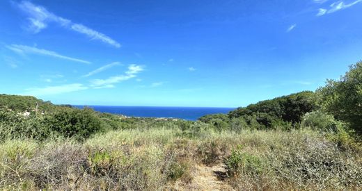 Land in Corbara, Upper Corsica