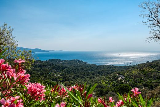 地皮  Bormes-les-Mimosas, Var