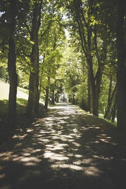 Sarlat-la-Canéda, Dordogneの城