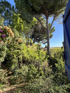 Arsa Mauguio, Hérault