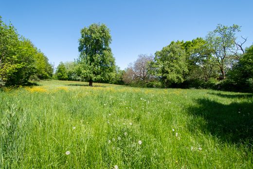 Grond in Échenevex, Ain