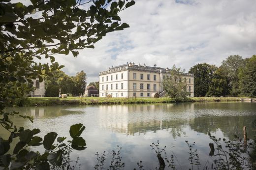 Neuvelle-lès-la-Charité, Haute-Saôneの城