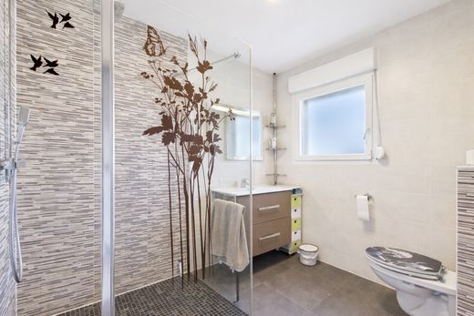 Luxury home in Ottange, Moselle