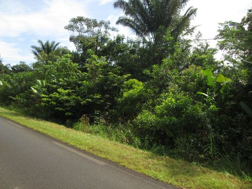 地皮  Montsinéry-Tonnegrande, Arrondissement de Cayenne