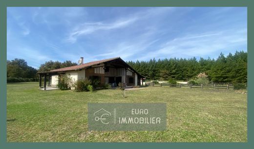 Luxey, Landesの高級住宅