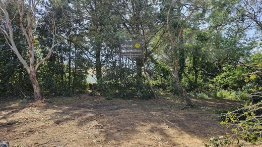 Teren w L'Île-d'Yeu, Vendée