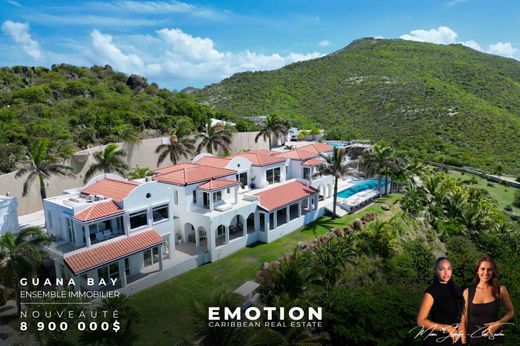 Villa in Saint Martin