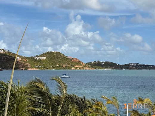 Luxury home in Saint Martin