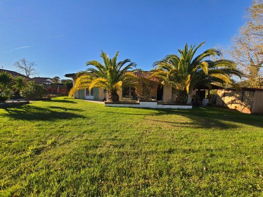 Villa in Saint-André-de-Seignanx, Landes