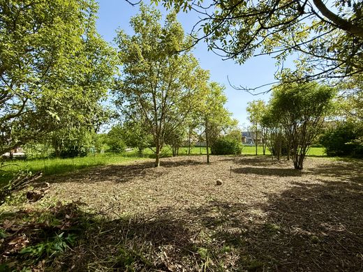 Land in Sélestat, Bas-Rhin
