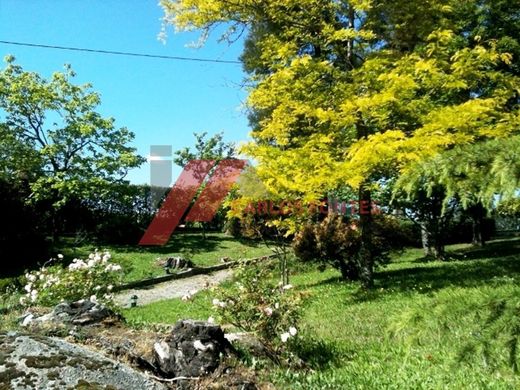 Rural or Farmhouse in Santo Tirso, Distrito do Porto