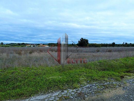 Terreno en Benavente, Santarém