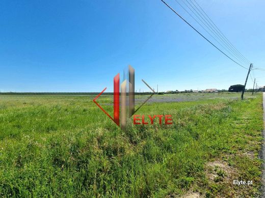 Land in Benavente, Distrito de Santarém