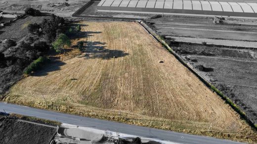 地皮  Benavente, Distrito de Santarém