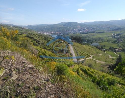 Demeure ou Maison de Campagne à Peso da Régua, Distrito de Vila Real