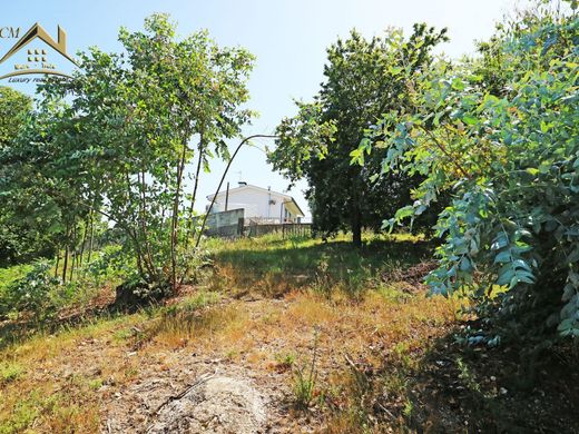 Land in Braga, Distrito de Braga