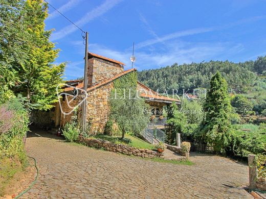 Rustik ya da çiftlik Castelo de Paiva, Distrito de Aveiro