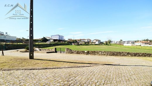 Arsa Trofa, Distrito do Porto