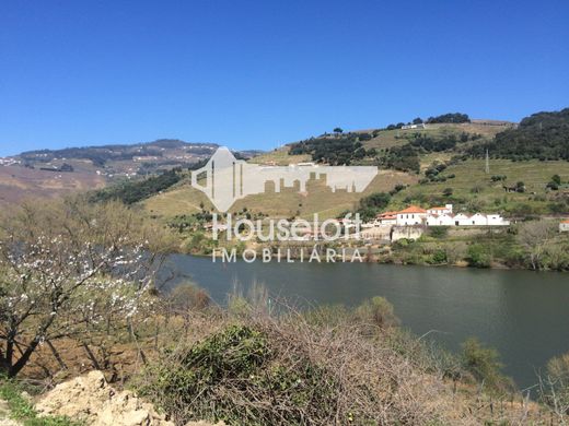 Boerderij in Peso da Régua, Distrito de Vila Real