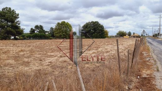 Land in Salvaterra de Magos, Distrito de Santarém