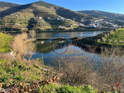 Rustik ya da çiftlik Peso da Régua, Distrito de Vila Real