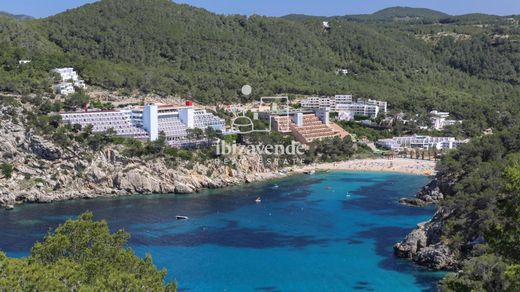 Teren w Sant Joan de Labritja, Illes Balears