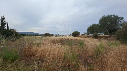 Sant Antoni de Portmany, Illes Balearsの土地