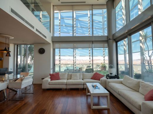 Penthouse in Barcelona, Province of Barcelona