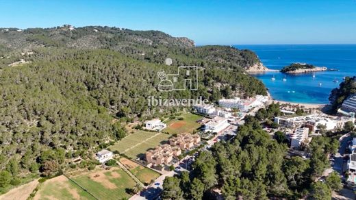 Port de Sant Miquel, Illes Balearsの高級住宅