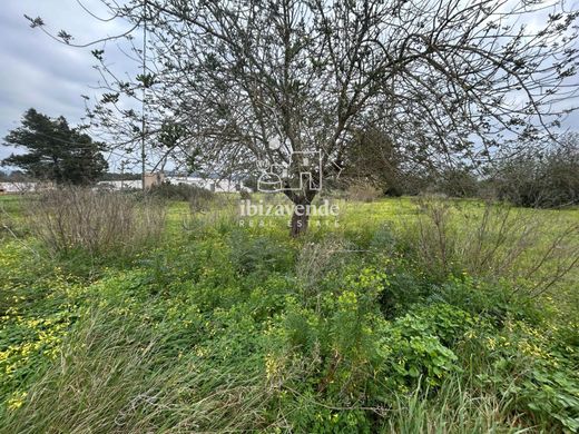 Grond in San Lorenzo de Balafia, Balearen