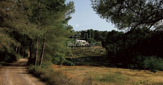 地皮  Sant Joan de Labritja, Illes Balears