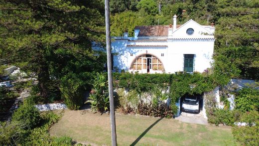 Villa a Pelayo, Cadice