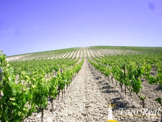 Casa de campo - Jerez de la Frontera, Provincia de Cádiz