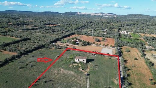 Land in Campos, Province of Balearic Islands
