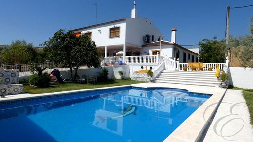 Gospodarstwo w Montilla, Province of Córdoba