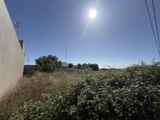 Terreno a San Cristóbal de La Laguna, Provincia de Santa Cruz de Tenerife