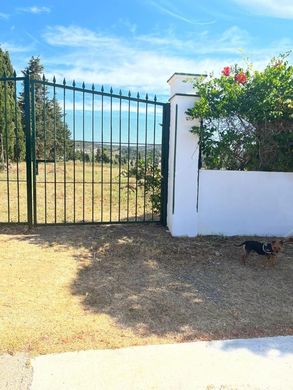 Terreno - Sotogrande, Provincia de Cádiz