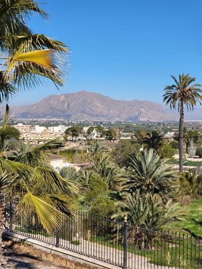 Propriété de campagne à Bigastro, Alicante
