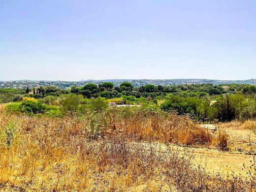 Terreno - Sotogrande, Provincia de Cádiz