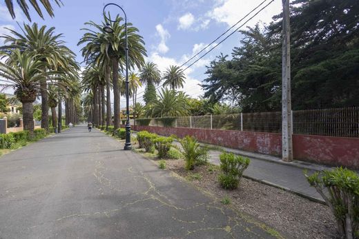 Teren w La Laguna, Provincia de Santa Cruz de Tenerife