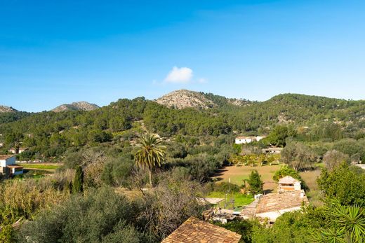 Daire s'Arracó, Illes Balears