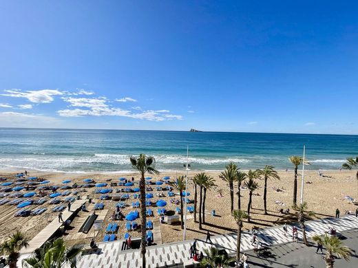 Apartment in Benidorm, Alicante